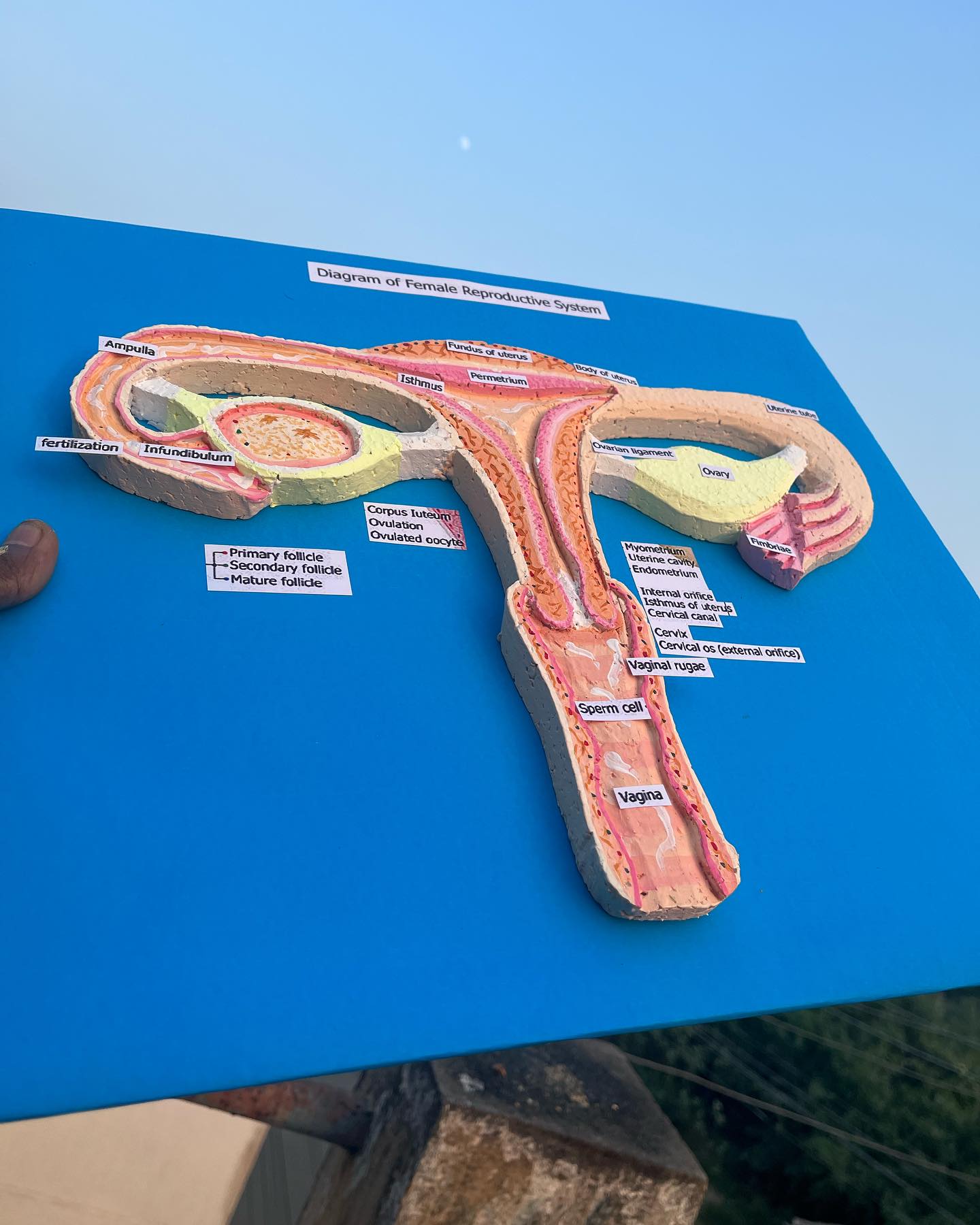 SRH education project portrait