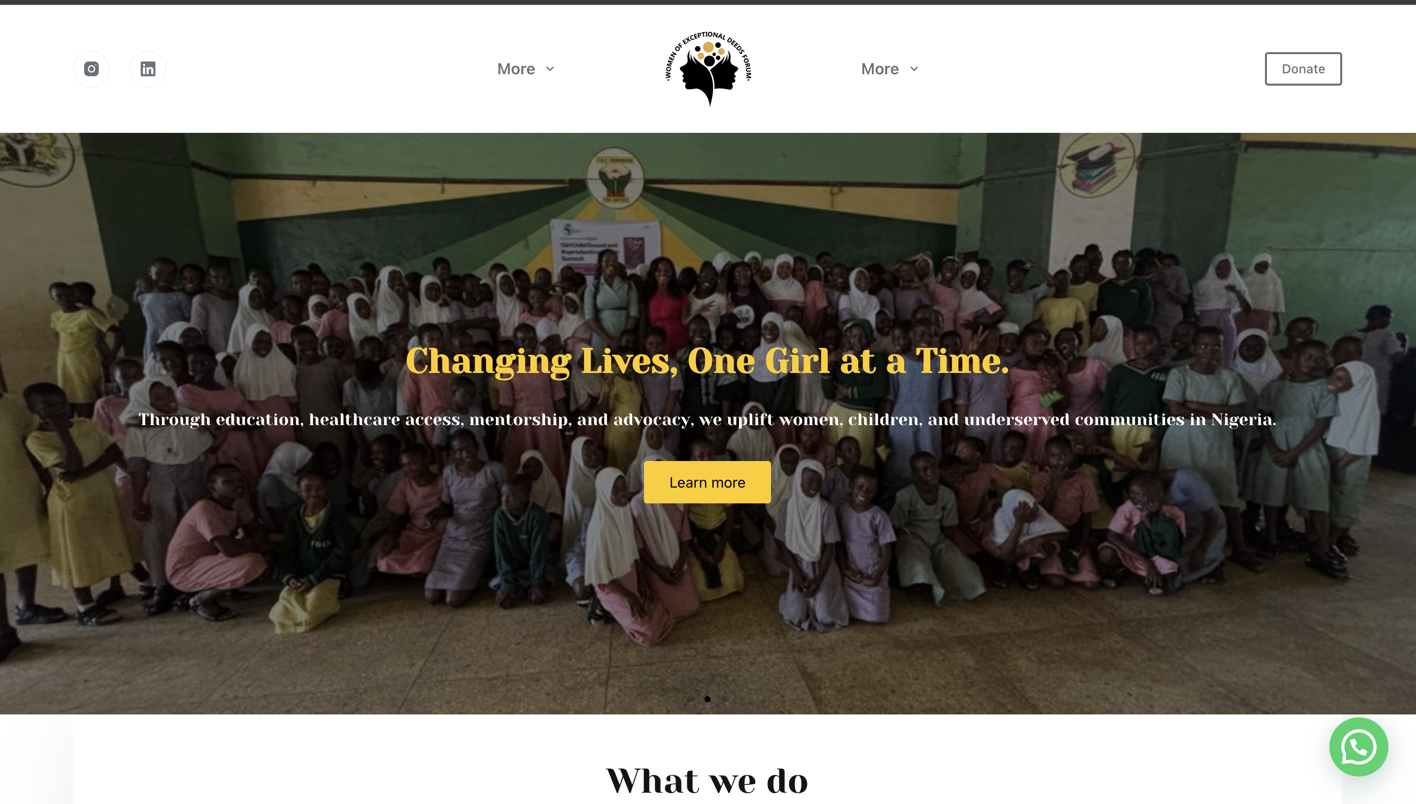 Website and advocacy work